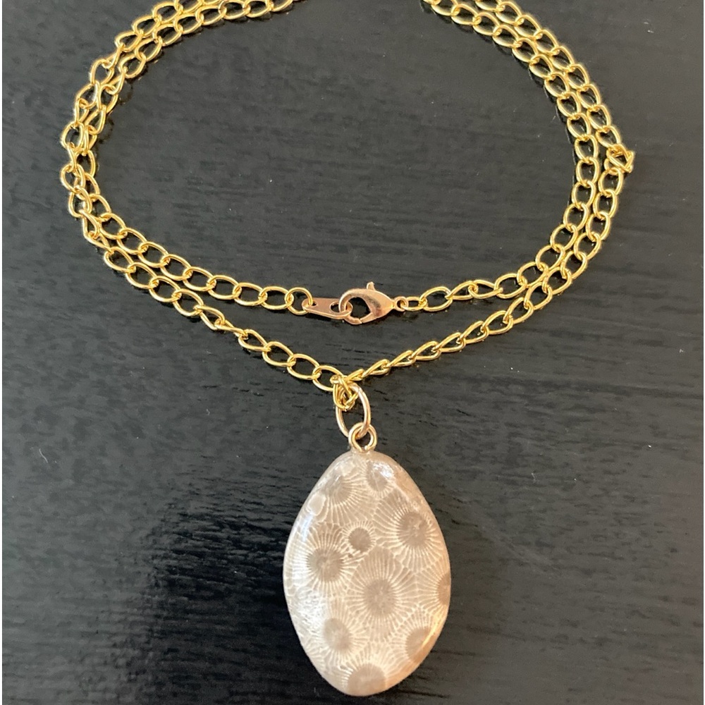 Beautiful handmade Petoskey Stone pendant with Gold tone 20" Chain Necklace. - Picture 9 of 9